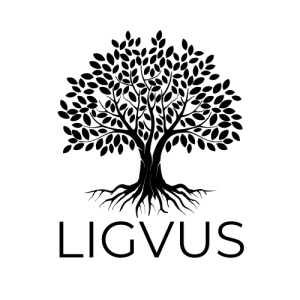 Trgovina in mizarstvo Ligvus - Logo